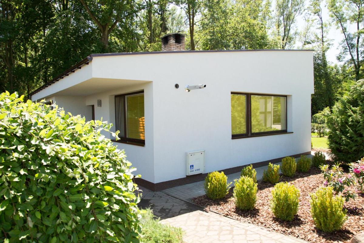 Camping Oaza Blonie Kornik Domki Standard Plus - 3 Pokoje Экстерьер фото